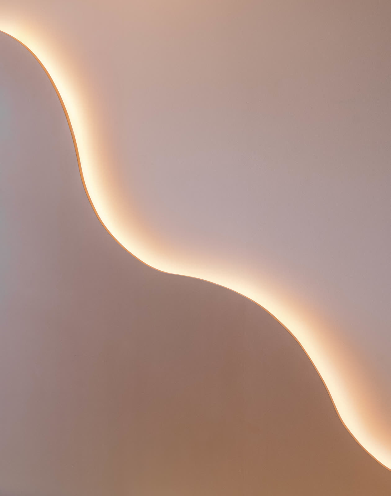 Beige Experience Centre — Ceiling & Cove — Wavy false ceiling · cove light